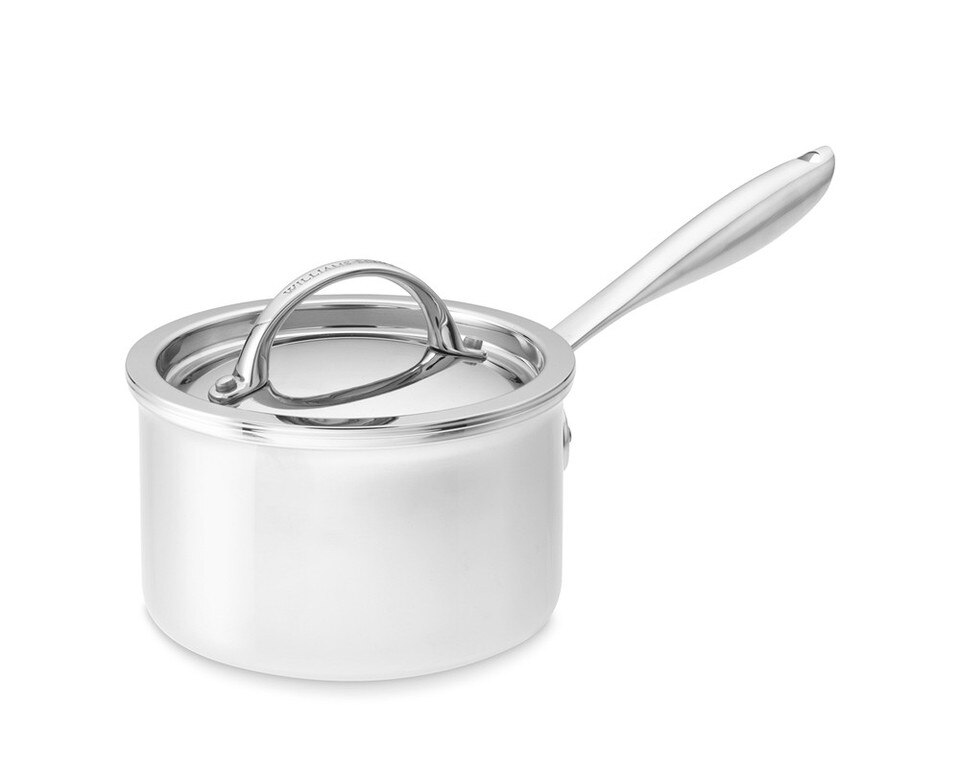 Williams Sonoma ThermoClad™ StainlessSteel Saucepan Williams Sonoma